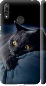 Чехол Дымчатый кот для Huawei Y7 2019