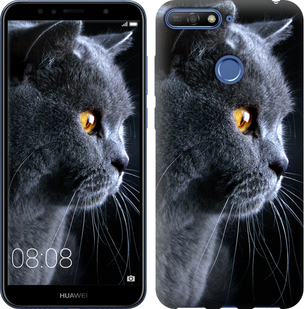 

Чохол Гарний кіт на Huawei Y6 Prime 2018 667258