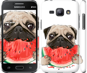 

Чехол Мопс и арбуз для Samsung Galaxy J1 J100H 843498