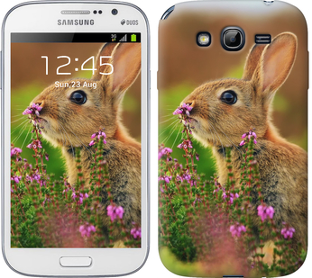 

Чохол Кролик і квіти на Samsung Galaxy Grand I9082 149887