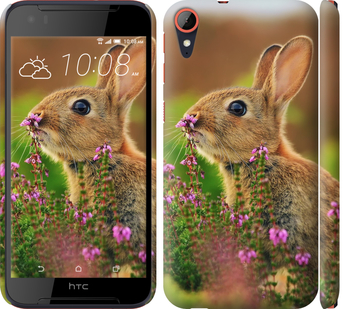 

Чехол Кролик и цветы для HTC Desire 830 468450