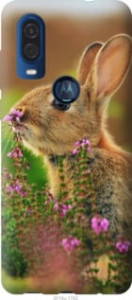 Чехол Кролик и цветы для Motorola One Vision