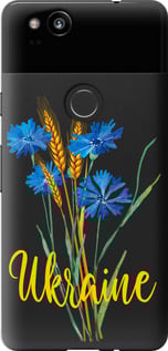 Чехол Ukraine v2 для Google Pixel 2