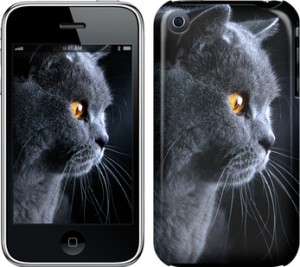 Чехол Красивый кот для iPhone 3Gs