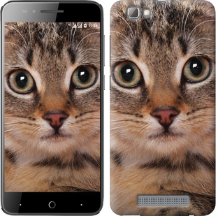 

Чехол Полосатый котик для ZTE A610 175909