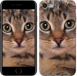 

Чехол Полосатый котик для iPhone 7 (4.7'') 659457