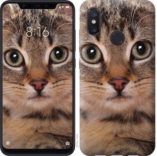 

Чехол Полосатый котик для Xiaomi Mi8 675825