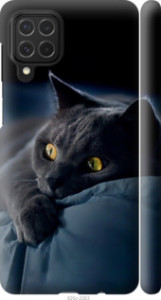 Чехол Дымчатый кот для Samsung Galaxy M62