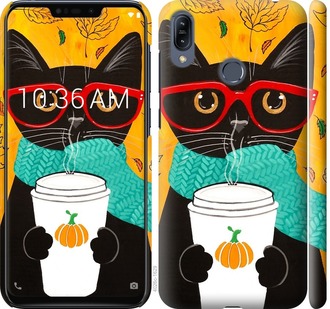 

Чехол Осенний кот для Asus Zenfone Max M2 ZB633KL 698149