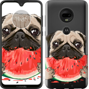 

Чехол Мопс и арбуз для Motorola Moto G7 Plus 843914