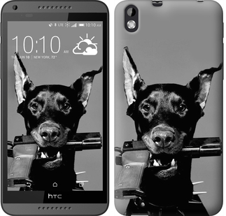 

Чохол Доберман на HTC Desire 816 122779