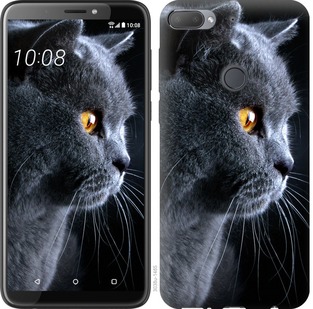 

Чехол Красивый кот для HTC Desire 12 Plus 667229