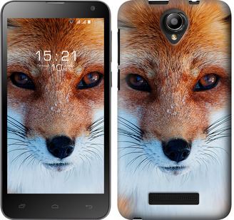 

Чехол Рыжая лисица для Fly IQ4514 577870