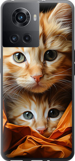 Чехол Котики 2 для OnePlus Ace