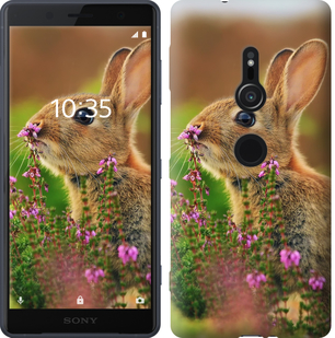 

Чехол Кролик и цветы для Sony Xperia XZ2 H8266 656655