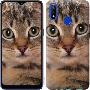 

Чохол Смугастий котик на Realme 3 920660