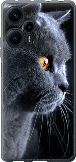 

Чехол Красивый кот для Xiaomi Redmi Note 12 Turbo 1693959