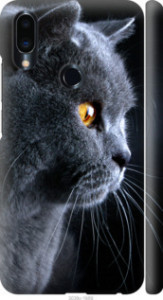 Чехол Красивый кот для Meizu Note 9