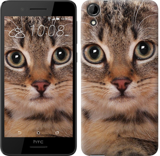 

Чохол Смугастий котик на HTC Desire 728G 175598