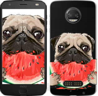

Чохол Мопс і кавун на Motorola Moto G5 PLUS 843917