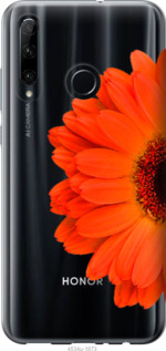 

Чехол Гербера 1 для Huawei Honor 10i 957946