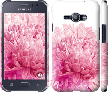 

Чехол Хризантема для Samsung Galaxy J1 Ace J110H 844197