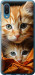 Чехол Котики 2 для Samsung Galaxy A02 A022G