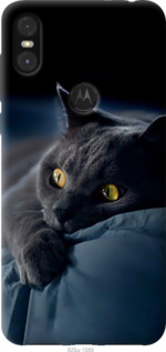 Чехол Дымчатый кот для Motorola One