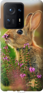 

Чохол Кролик і квіти на Xiaomi Mix 4 1217688