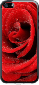 Чехол Красная роза для iPhone SE