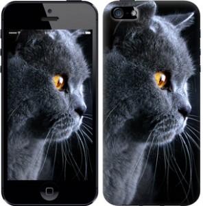 Чехол Красивый кот для iPhone SE