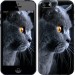 Чехол Красивый кот для iPhone 5s