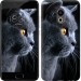 Чехол Красивый кот для Meizu Pro 6