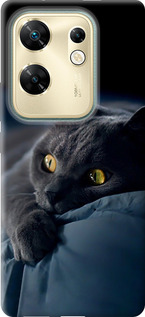 Чехол Дымчатый кот для Infinix Zero 30 4G