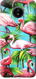 

Чехол Tropical background для Nokia C20 1230860