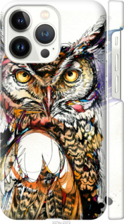 

Чохол Сова 3 на iPhone 13 Pro 1610082
