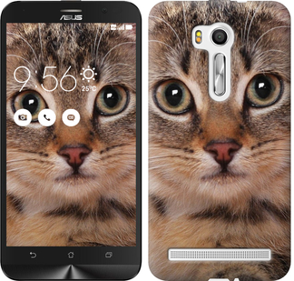 

Чехол Полосатый котик для Asus ZenFone Go TV ZB551KL 175845