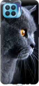 Чохол Гарний кіт на Oppo Reno 4 Lite