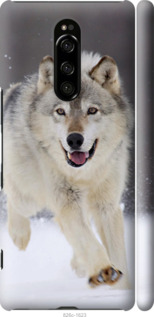 

Чехол Бегущий волк для Sony Xperia 1 J9110 958047