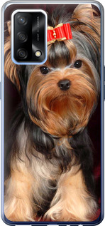

Чехол Йоркширский терьер для Oppo A74 1634885