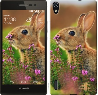 

Чохол Кролик і квіти на Huawei Ascend P7 150095