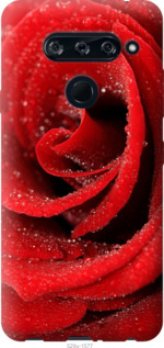 

Чехол Красная роза для LG V40 ThinQ 948424