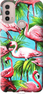 

Чехол Tropical background для Motorola E40 1444227