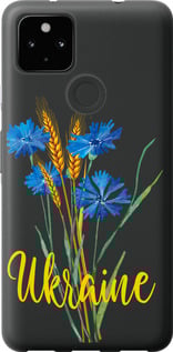 Чехол Ukraine v2 для Google Pixel 5A