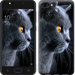 

Чехол Красивый кот для Asus ZenFone 4 Max ZC554KL 697224