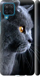 Чехол Красивый кот для Samsung Galaxy M12 M127F