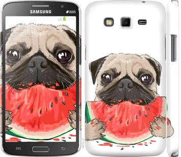 

Чехол Мопс и арбуз для Samsung Galaxy Grand 2 G7102 843471