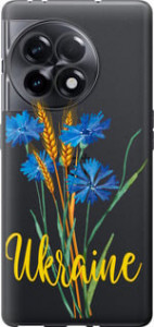 Чехол Ukraine v2 для OnePlus 11R