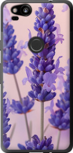Чехол Лаванда для Google Pixel 2