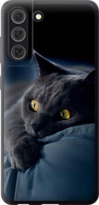 Чехол Дымчатый кот для Samsung Galaxy S21 FE